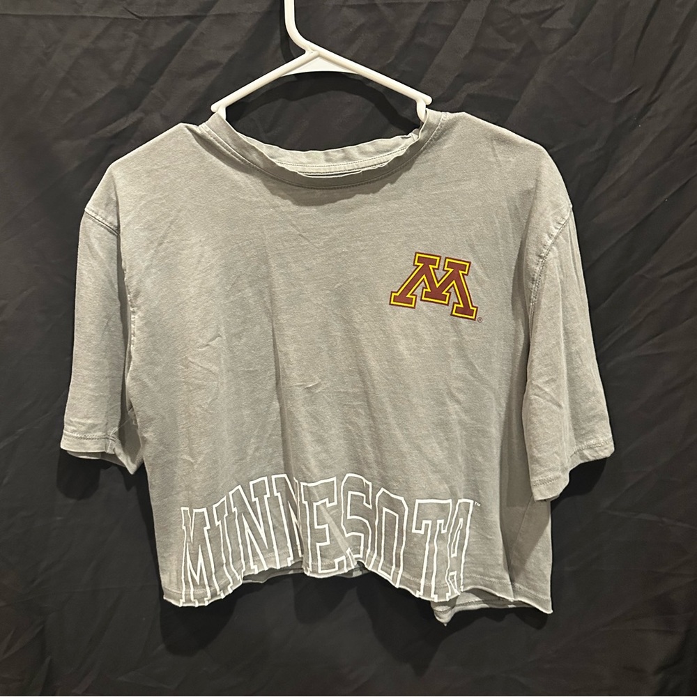 Gray Minnesota Cropped Tee